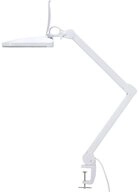 TOOLCRAFT Arbeitsleuchte TOOLCRAFT TO-7567476 LED Lupenleuchte 60 SMD LED 7.5 x 6.2