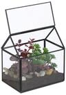 relaxdays Gew&auml;chshaus Pflanzenterrarium aus Glas Hausform, 1-St., schwarz