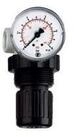 RIEGLER Druckregler Riegler Druckregler &raquo;Standard-mini&laquo; inkl. Mano, BG 0, G...