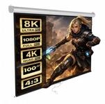 Maclean Leinwand MC-594 Projektionsleinwand 100'' (200 x 150 cm) halbauto,...