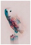 Komar Bild Animals Forest Owl, Tiere (1 St), Wandbild zur Dekoration - ohne...