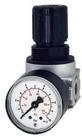 RIEGLER Druckregler Riegler Druckregler &raquo;multifix-mini &laquo; inkl. Mano, BG 0, G...