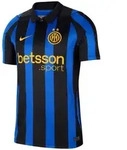 Nike Fu&szlig;balltrikot Nike Performance Serie A blau L (52/54)
