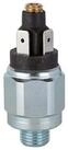 RIEGLER Pumpenhaus Riegler Druckschalter, Standard, Stahl verz., G 1/8, 1 - 10...
