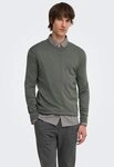 ONLY & SONS Rundhalspullover ONSWYLER LIFE REG 14 LS CREW KNIT NOOS...