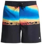 Quiksilver Boardshorts Everyday 16" schwarz 30(S)