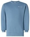 Champion Sweatshirt SPORTWEAR CREWNECK Standard Fit f&uuml;r Kinder