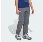 adidas TERREX Trainingshose ADIDAS MINECRAFT TERREX CLIMAWARM SOFTSHELL-HOSE (1-tlg)