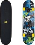 Schildkr&ouml;t Funsports Skateboard Skateboard SLIDER 31&acute; Fast Track