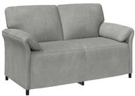 vidaXL Sofa 2-Sitzer Sofa Hellgrau 158 x 83 x 95 cm Samt, 1 Teile