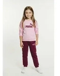 PUMA Trainingsanzug MINICATS ESS CREW SET FL INTEREST INF (2-tlg), zweiteiliges Set,