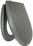 Primaster WC-Sitz Primaster WC-Sitz mit Absenkautomatik Metallic, Abnehmbar