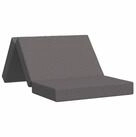 vidaXL Bett Klappsofa Bett 100 x 67 x 45 cm Hellgrau (1-tlg)