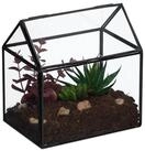 relaxdays Dekovase Pflanzenterrarium aus Glas Hausform (1 St), schwarz