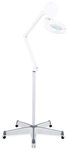 Showlite Lupenlampe LL-6085D LED Lupenleuchte, 2,25-fache Vergr&ouml;&szlig;erung, LED...