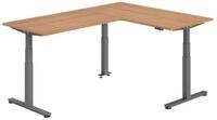 b&uuml;m&ouml; Schreibtisch Eckschreibtisch XDSMW, Eckform: 160 x 220 cm - Dekor:...