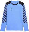 PUMA Torwarttrikot PUMA teamLIGA26 Torwarttrikot Langarm