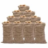 vidaXL Gartensack Jutes&auml;cke 10 Stk. 65x135 cm 100% Jute 220 g/m&sup2;, (10-tlg)