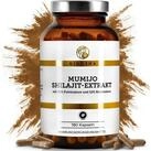 QIDOSHA Mumijo Shilajit Extrakt Kapseln, 180 St., 139 g, Im Braunglas
