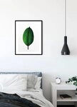 Komar Bild Ficus Leaf, Bl&auml;tter, Pflanzen (1 St), Wandbild zur Dekoration - ohne