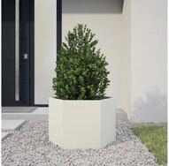 vidaXL Pflanzk&uuml;bel, Pflanzk&uuml;bel Wei&szlig; Sechseckig 69x60x45 Stahl