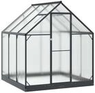 vidaXL Gew&auml;chshaus 183,5 x 183,5 x 207 cm Gew&auml;chshaus mit T&uuml;r Anthrazit