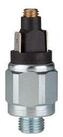 RIEGLER Wasser-Druckschalter Riegler Druckschalter, Standard, Stahl verz., G...