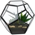 relaxdays Dekovase Geometrisches Pflanzenterrarium aus Glas (1 St), schwarz