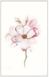Komar Bild Magnolia Blossom, Blumen (1 St), Wandbild zur Dekoration - ohne...
