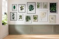 Komar Bild Monstera Leaf, Bl&auml;tter, Pflanzen (1 St), Wandbild zur Dekoration -...