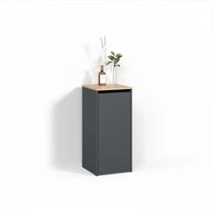 Livinity&reg; W&auml;scheschrank Paolina, Anthrazit/Goldkraft Eiche, 40.2 x 88.2 cm mit