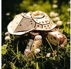 Eco Wood Art Modellbausatz Mechanische Schildkr&ouml;te aus Holz, (269-tlg)