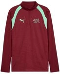 PUMA Sweatshirt PUMA SFV Schweiz Training 1/4 Zip Top Polyester