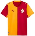 Fu&szlig;balltrikot PUMA "GSK HOME JERSEY REPLICA", Herren, Gr. S, bunt (schwarz cherry,