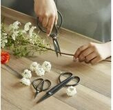 Gartenschere Scheren f&uuml;r Blumen Pflanzen