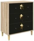 vidaXL Kommode 66 x 36,5 x 75 cm Kommode Schubladenschrank Sideboard BREMEN...