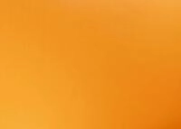 CLAIREFONTAINE Fotopapier Fotokarton, Packung mit 25 Bogen 50x65cm, 300g -...