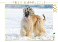 CALVENDO Puzzle CALVENDO Puzzle Afghanischer Windhund - Anmutige Sch&ouml;nheit,...