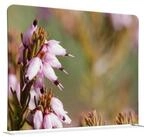 Showdown Displays Standtafel Raumteiler 200x150cm Pinke Blume Erica
