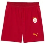 PUMA Trainingsshorts GSK SHORTS REPLICA