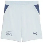 PUMA Sporthose Schweiz 2026 Shorts Jugendliche