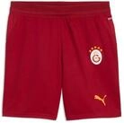 PUMA Trainingsshorts GSK SHORTS REPLICA JR aus Polyester, schnelltrocknend,