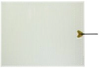 Thermo TECH Heizmatten Thermo TECH Polyester Heizfolie selbstklebend 230 V/AC 100 W