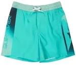 Quiksilver Badeshorts Everyday Holmes Volley 16" blau
