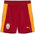 PUMA Sporthose PUMA Galatasaray Istanbul Training Short