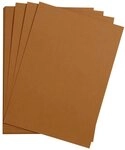 CLAIREFONTAINE Fotopapier Maya Fotokarton 50x70cm 270g 125 Bogen - Braun...