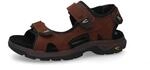 Trekkingsandale CAMEL ACTIVE, Herren, Gr. 40, cafe, Leder, Basic, Schuhe