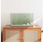 vidaXL Aquarium, Aquarium mit Speicher Transparent 50 x 30 x 30 cm Glas