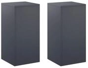 vidaXL Blumenst&auml;nder Pflanzenst&auml;nder 2 pcs Anthrazit 30 x 30 x 60 cm (2 St)