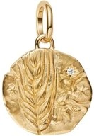 Pandora Charm-Einh&auml;nger Pandora ME Weizen Medaillon Charm Anh&auml;nger 764804C01